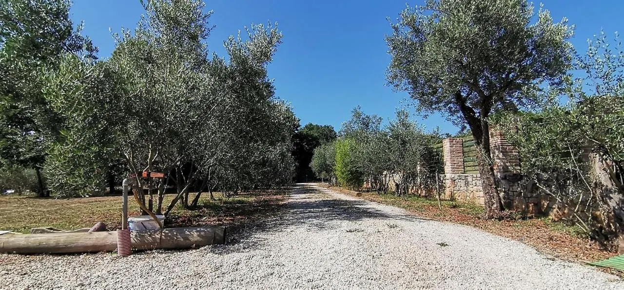 Casa vacanze Holiday House Olly Rovigno