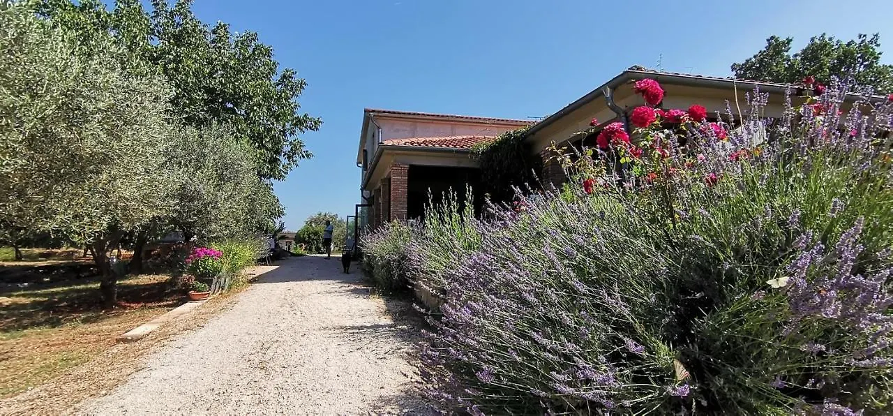 Holiday House Olly Rovigno Casa vacanze